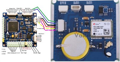 crius-layout.jpg